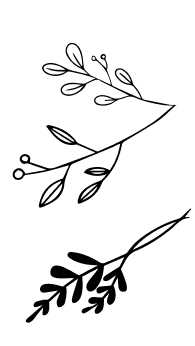 author image 3