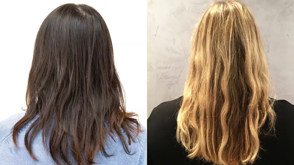 1C vs 2A Hair Key Characteristics