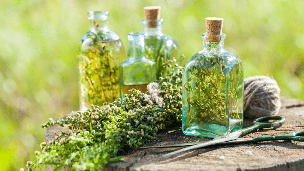 Oils for Hydrating Hair