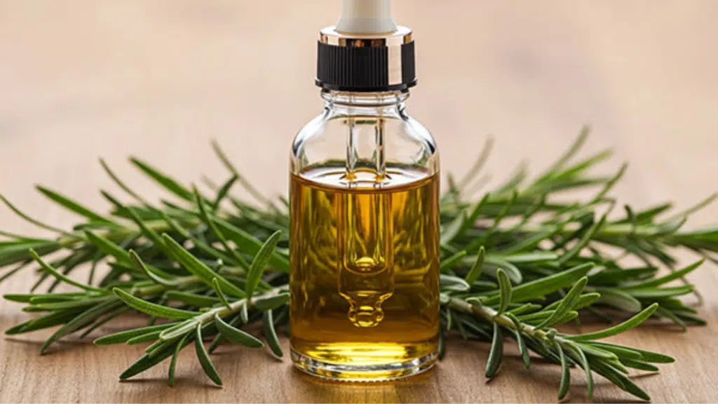 Rosemary Oil Enhancement