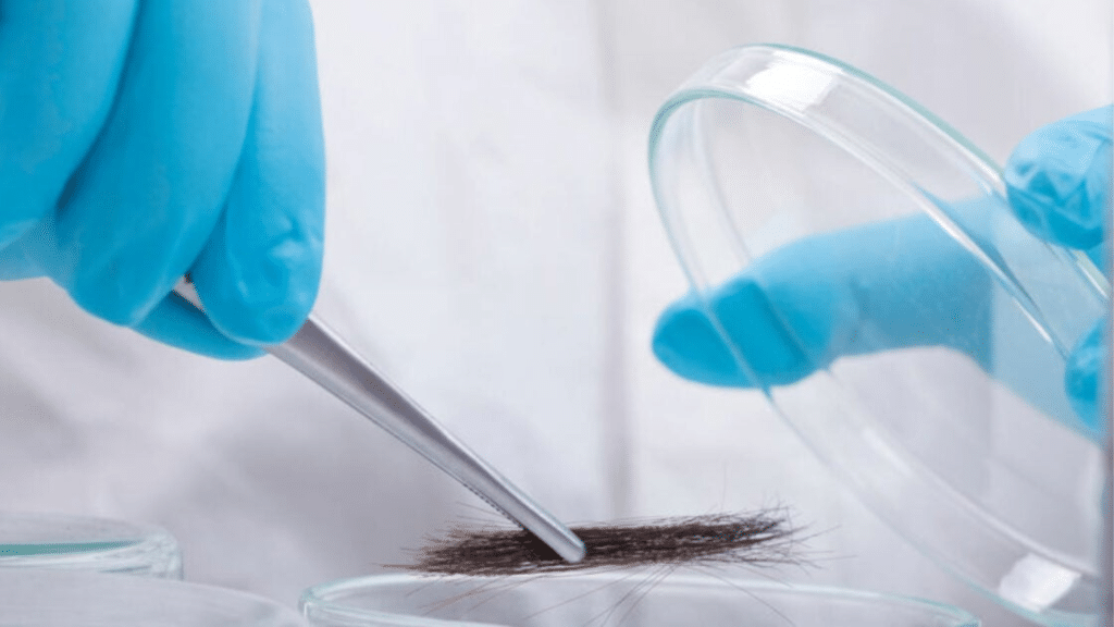 What Is a Hair Follicle Drug Test and How Far Back Does It Go?