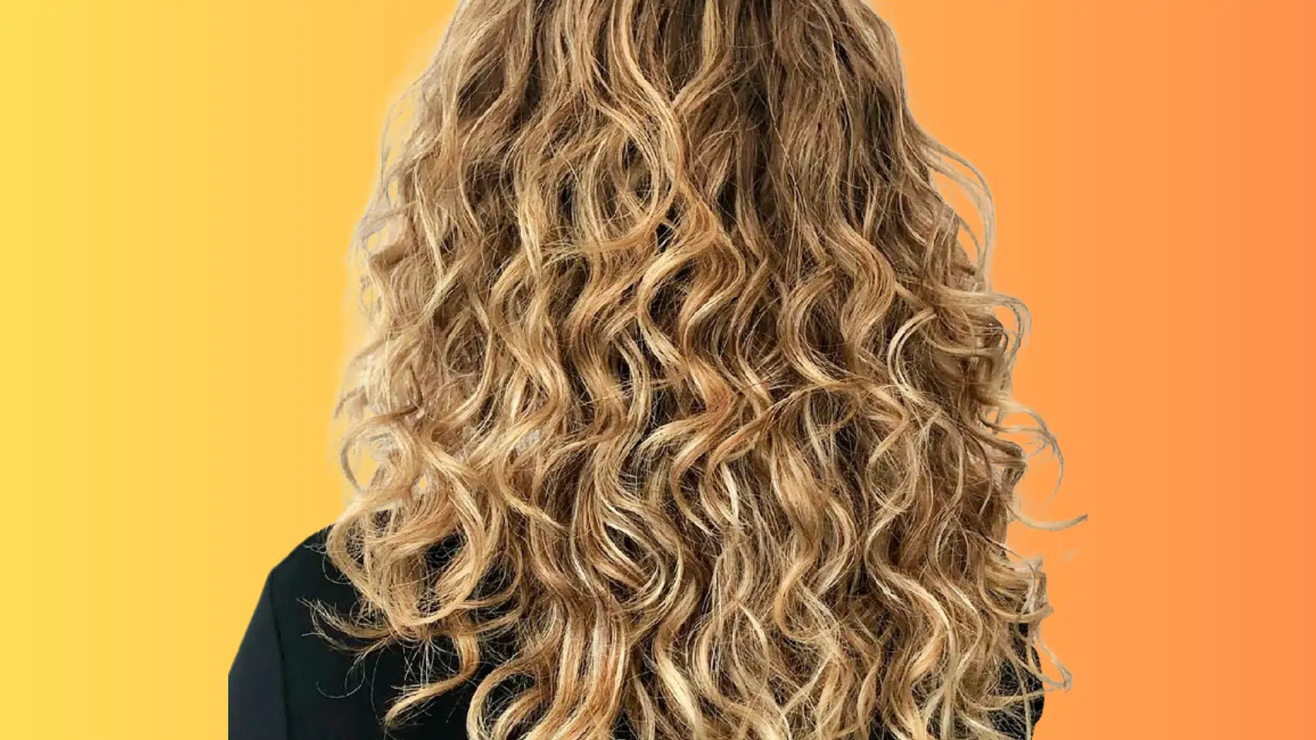 features-of-2b-curly-hair