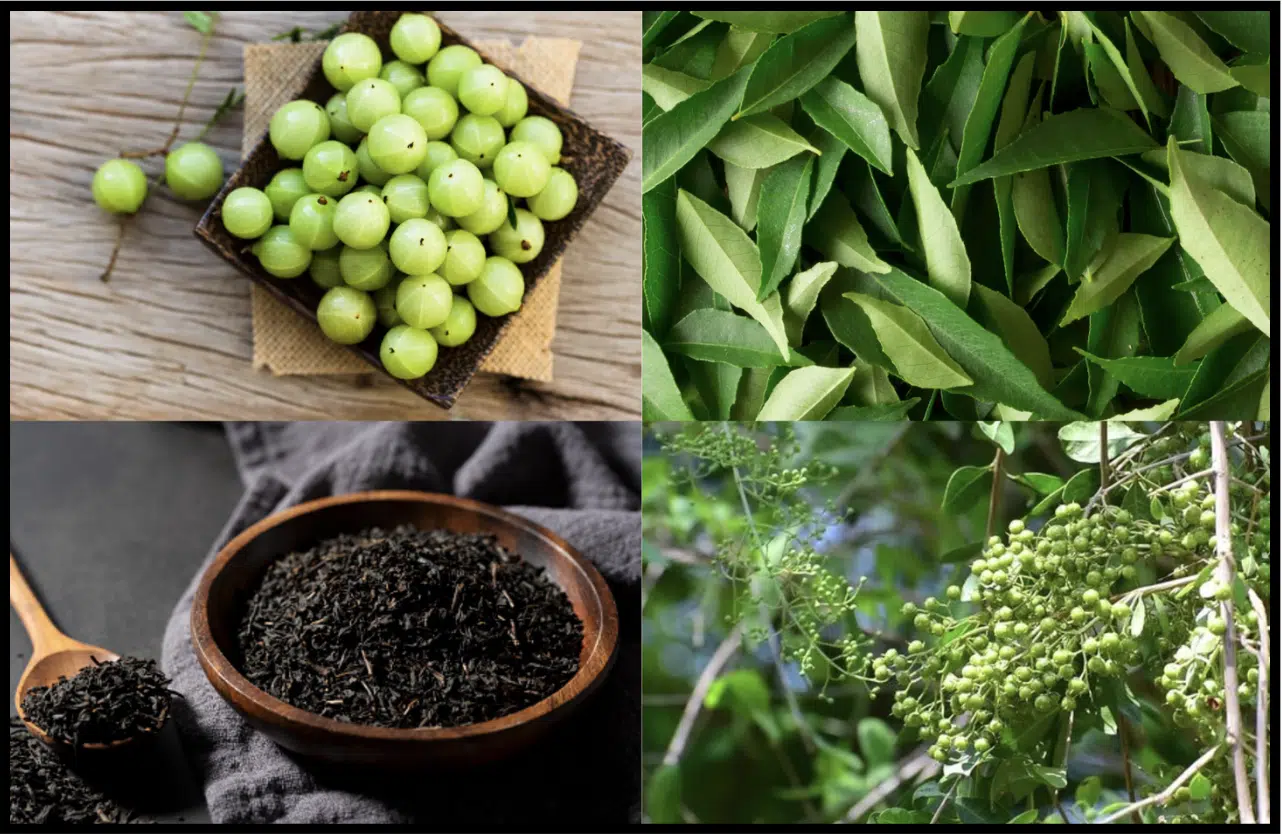 herbal-remedies-for-melanin