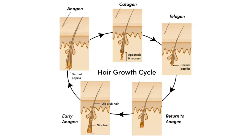 timeline-and-patterns-to-recognize