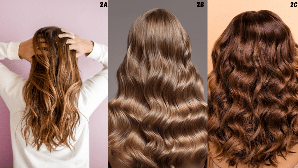 How to Determine Your Hair Type Using the Hair Type Scale - Stemsontx