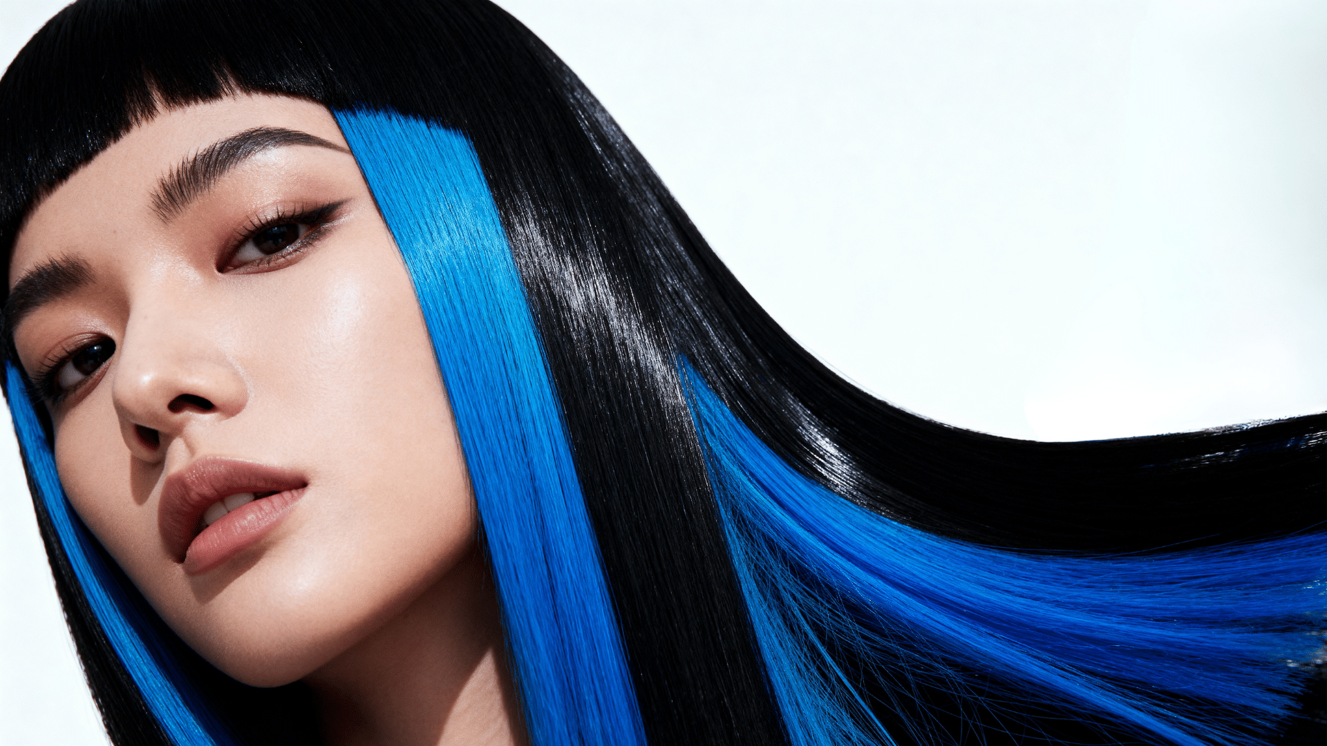 jet black with electric blue panels