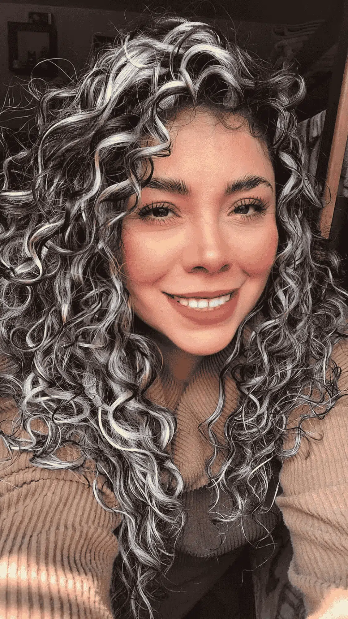 curly brown hair with silver coils