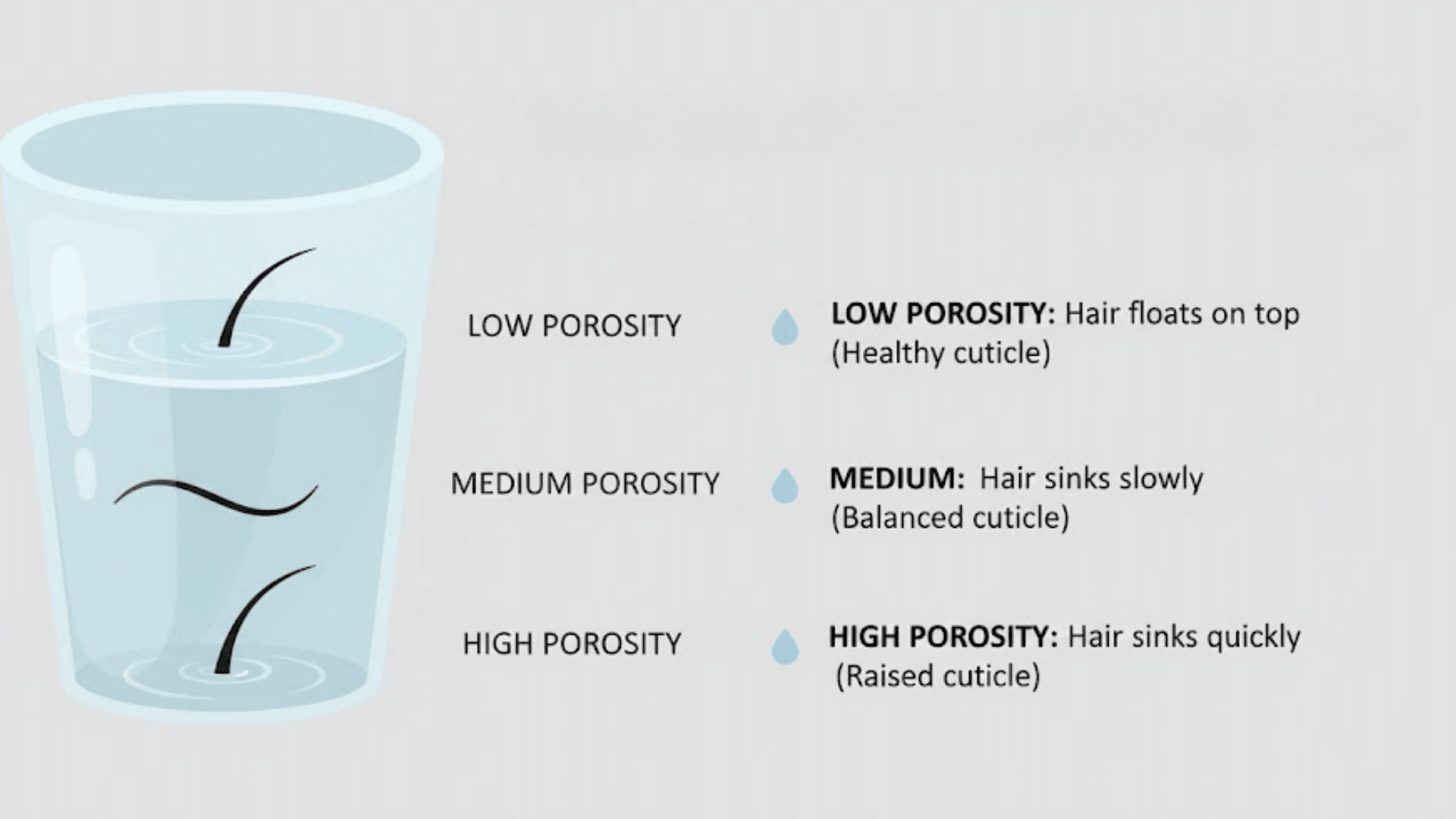 hair porosity test