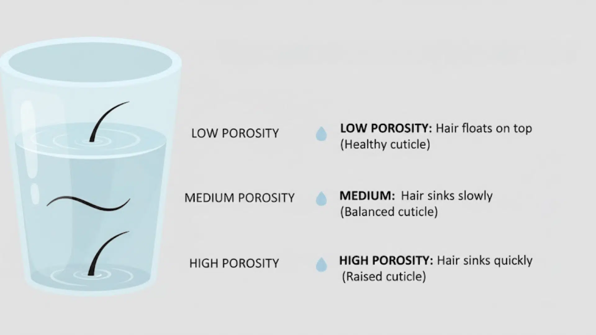 hair porosity test