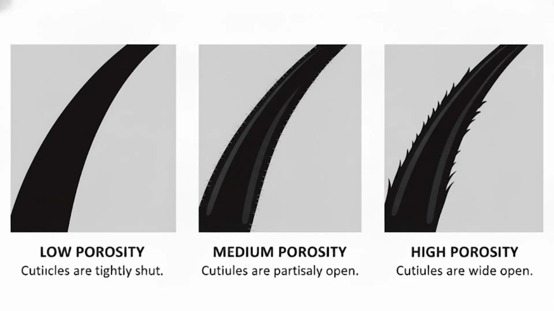 how to find out your porosity