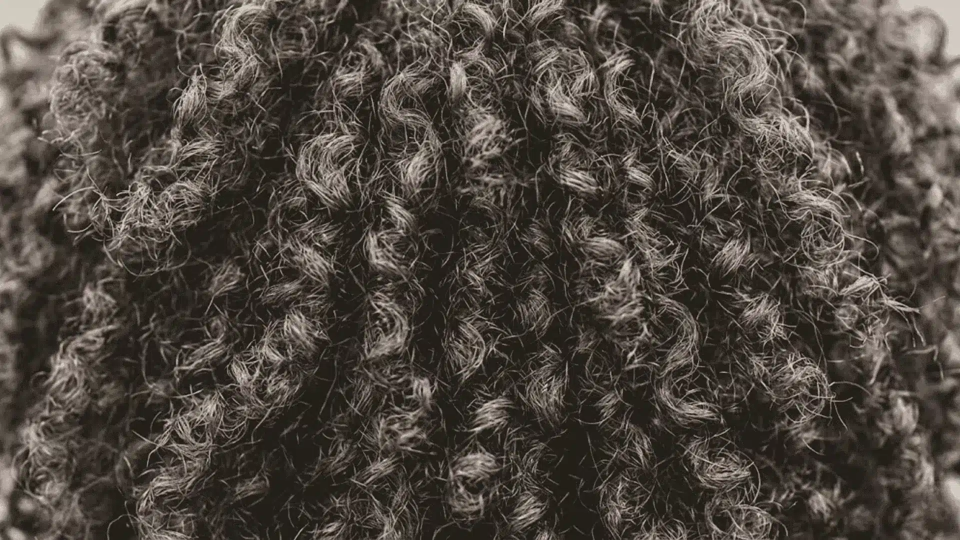 A photo shows a dense mass of tightly coiled dark curls, highlighting intricate, dry, and textured hair strands