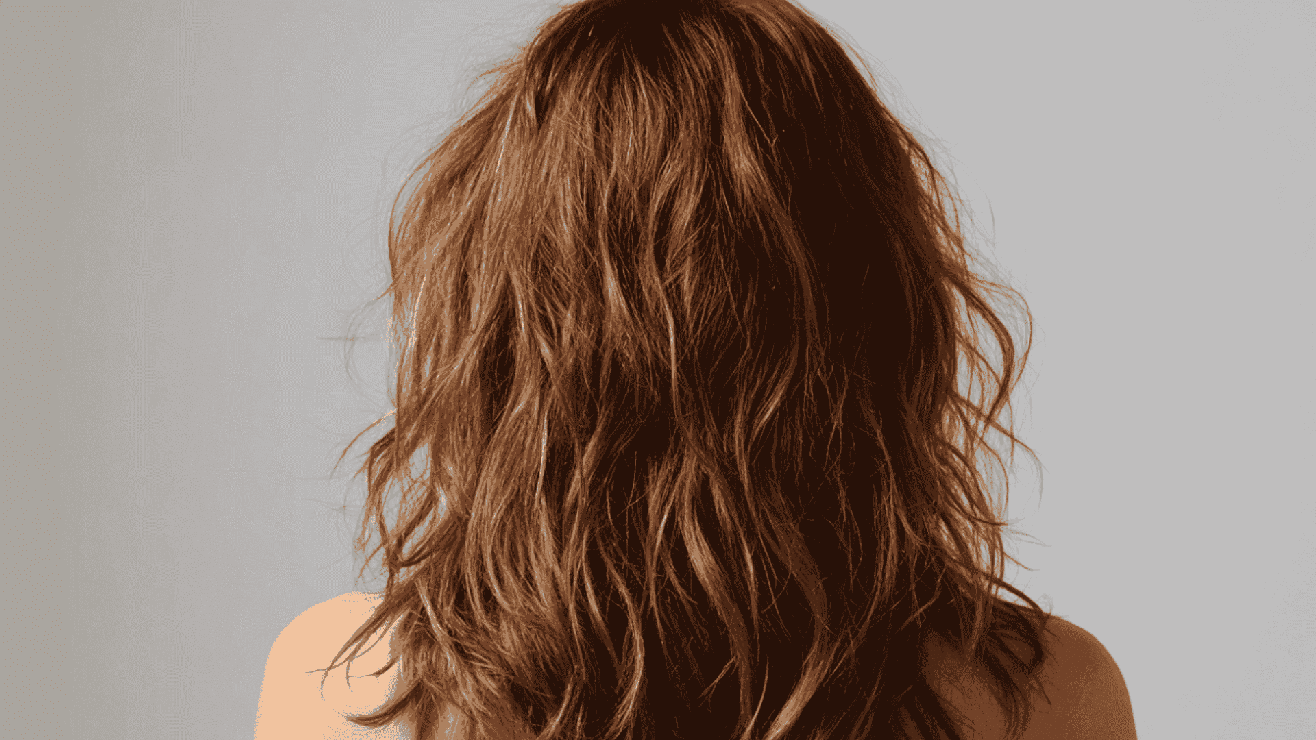 Back view of messy, brown hair with a rough texture showing dry frizzy hair lacking moisture.