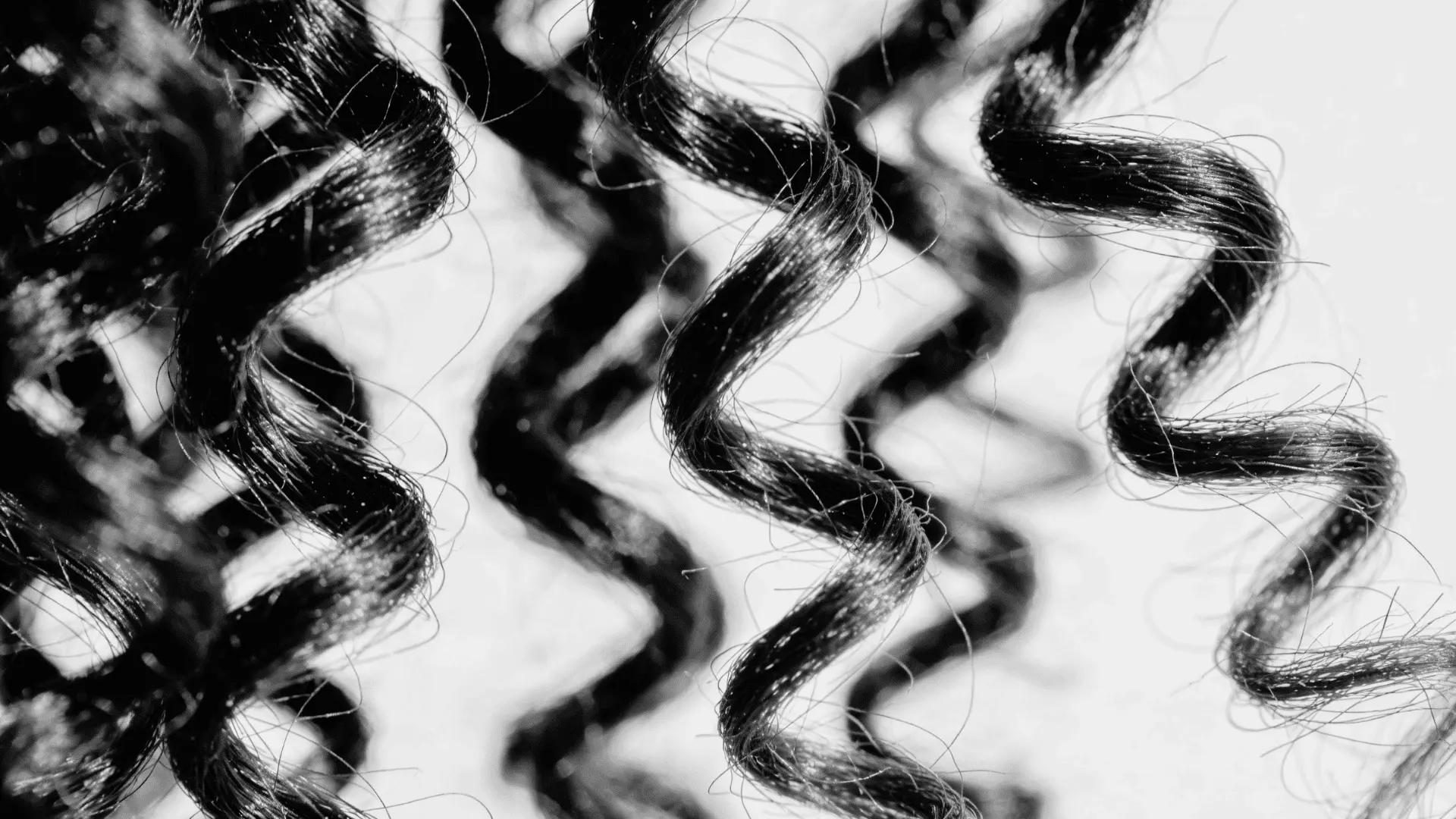 Black and white close-up of tight, glossy spiral curls. Do curls fade with age_ This shows what aging does to hair shape