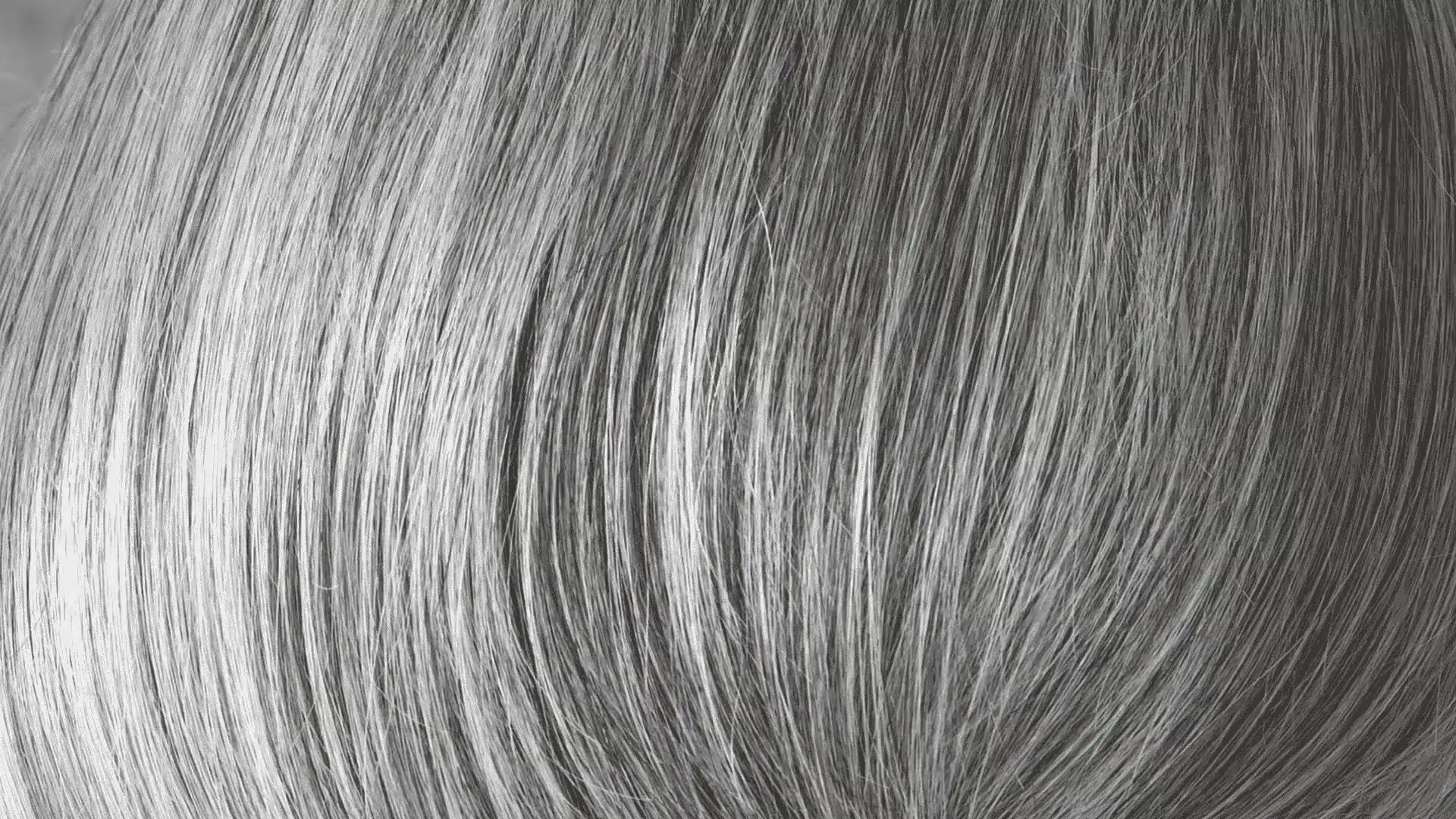 Detailed view of a woman’s hair, highlighting the presence of gray hair