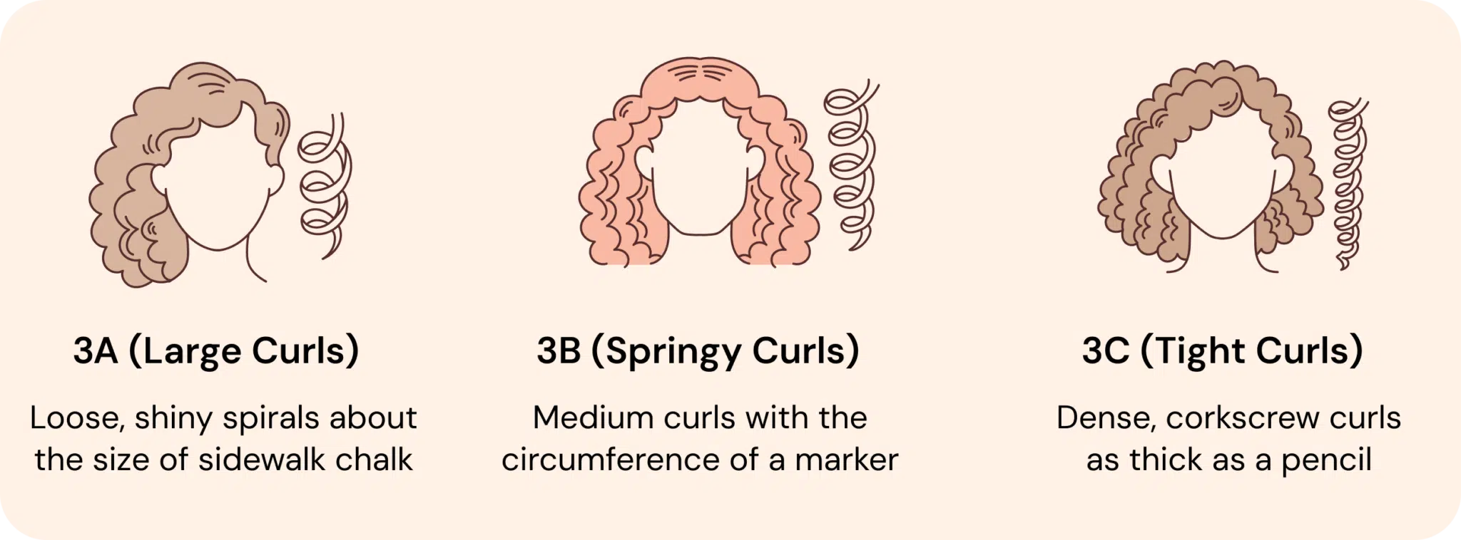 The Curl Champions