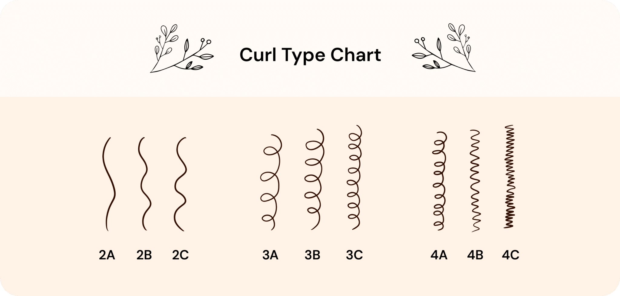 What Influences The Different Types of Curls