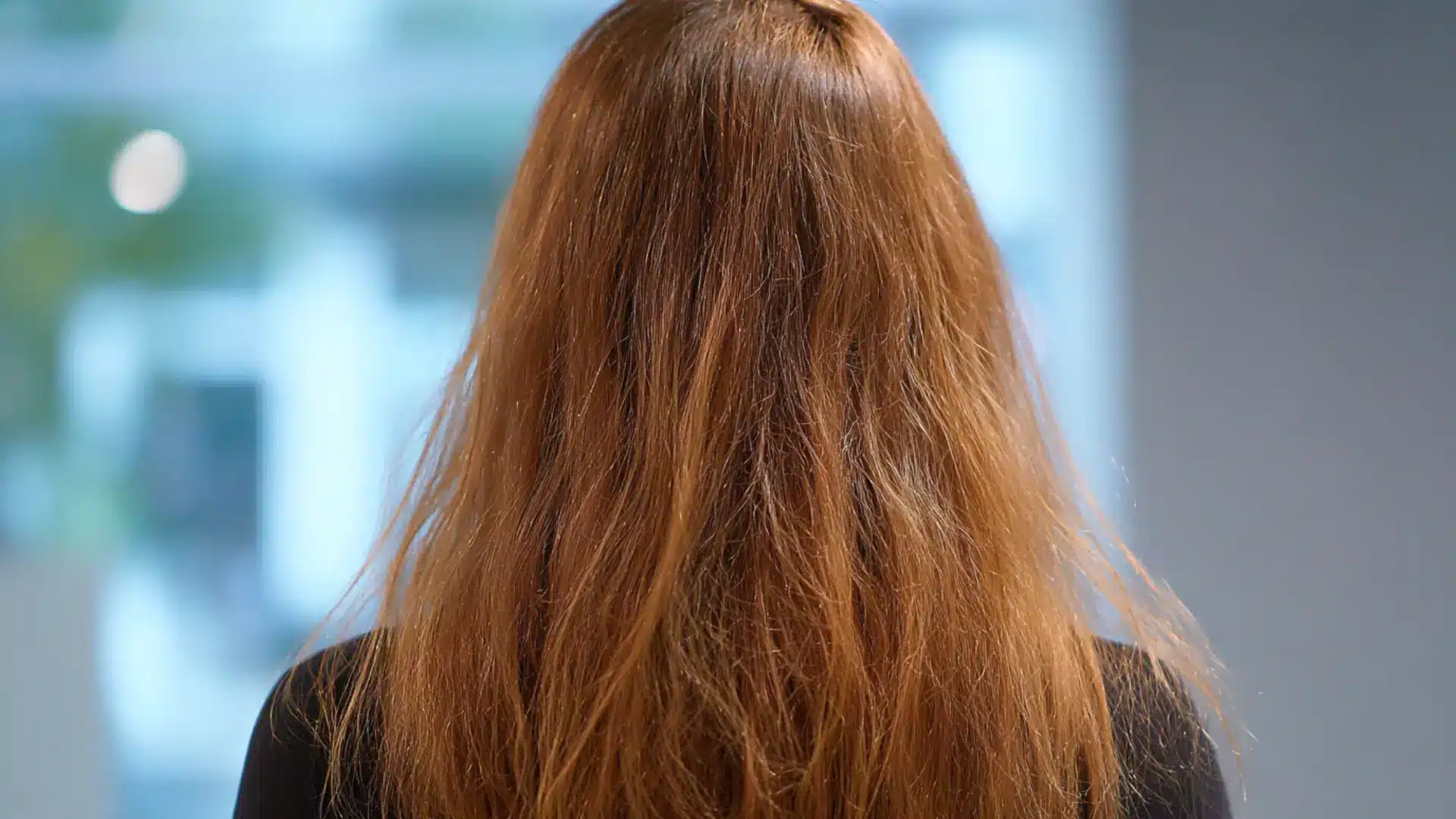 view from behind shows the colour treated reddish brown hair of a person wearing a black shirt