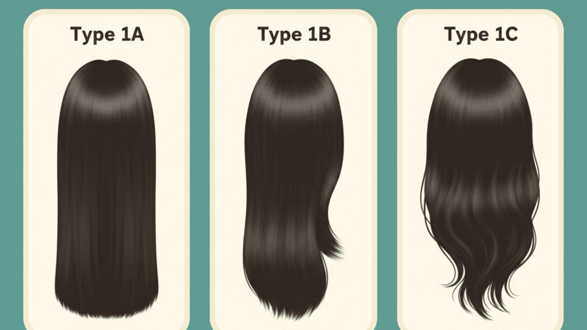 Chart showing straight hair types 1A, 1B, and 1C with increasing texture from sleek straight to slight waves.