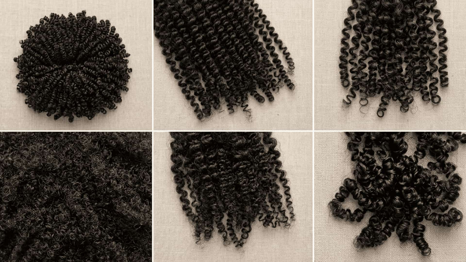 Different natural 4C hair textures shown from back view highlighting tight coily patterns.