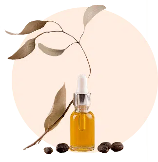 Jojoba oil