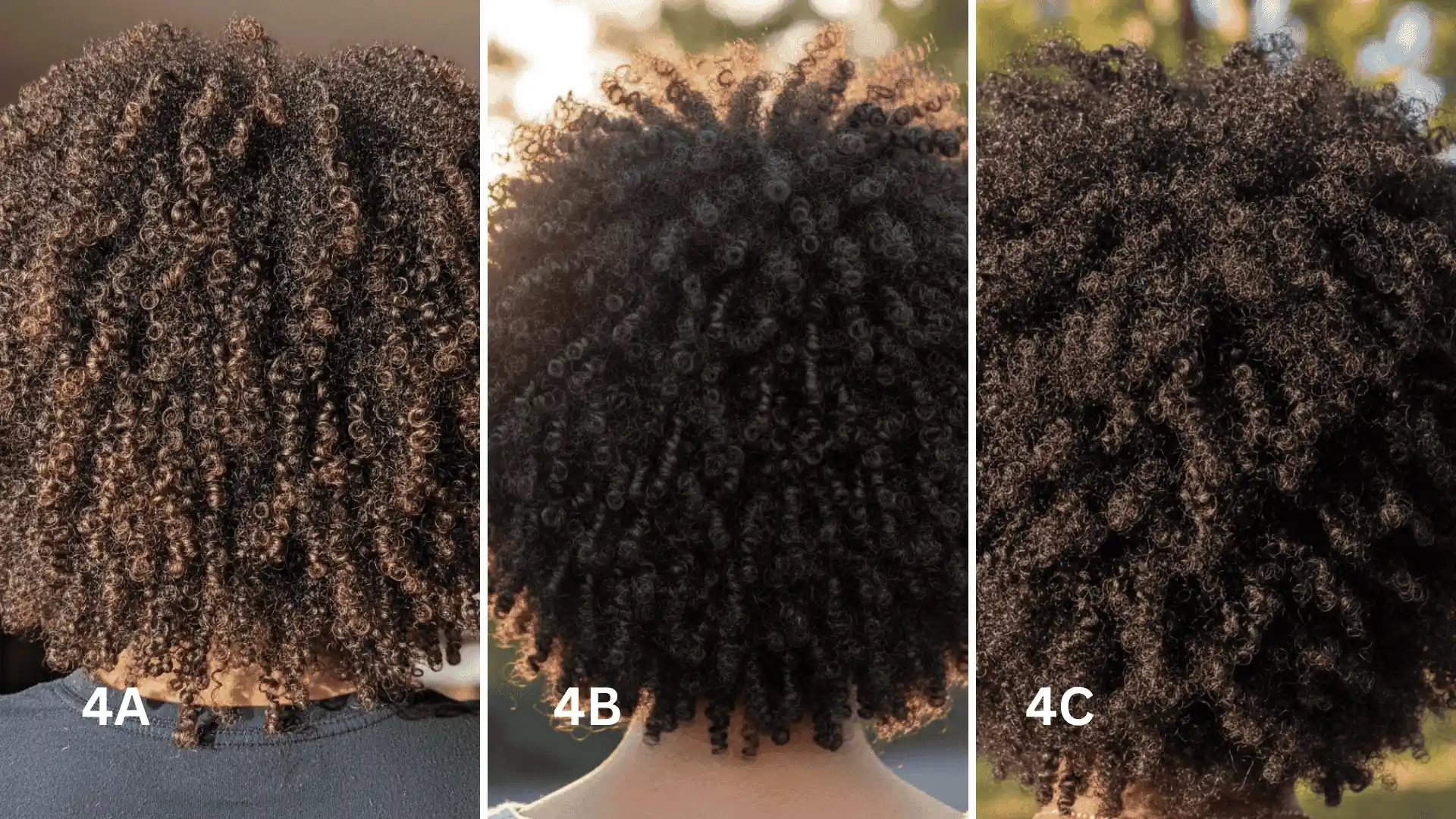 A comparison of three different coily hair textures labeled 4A, 4B, and 4C viewed from the back