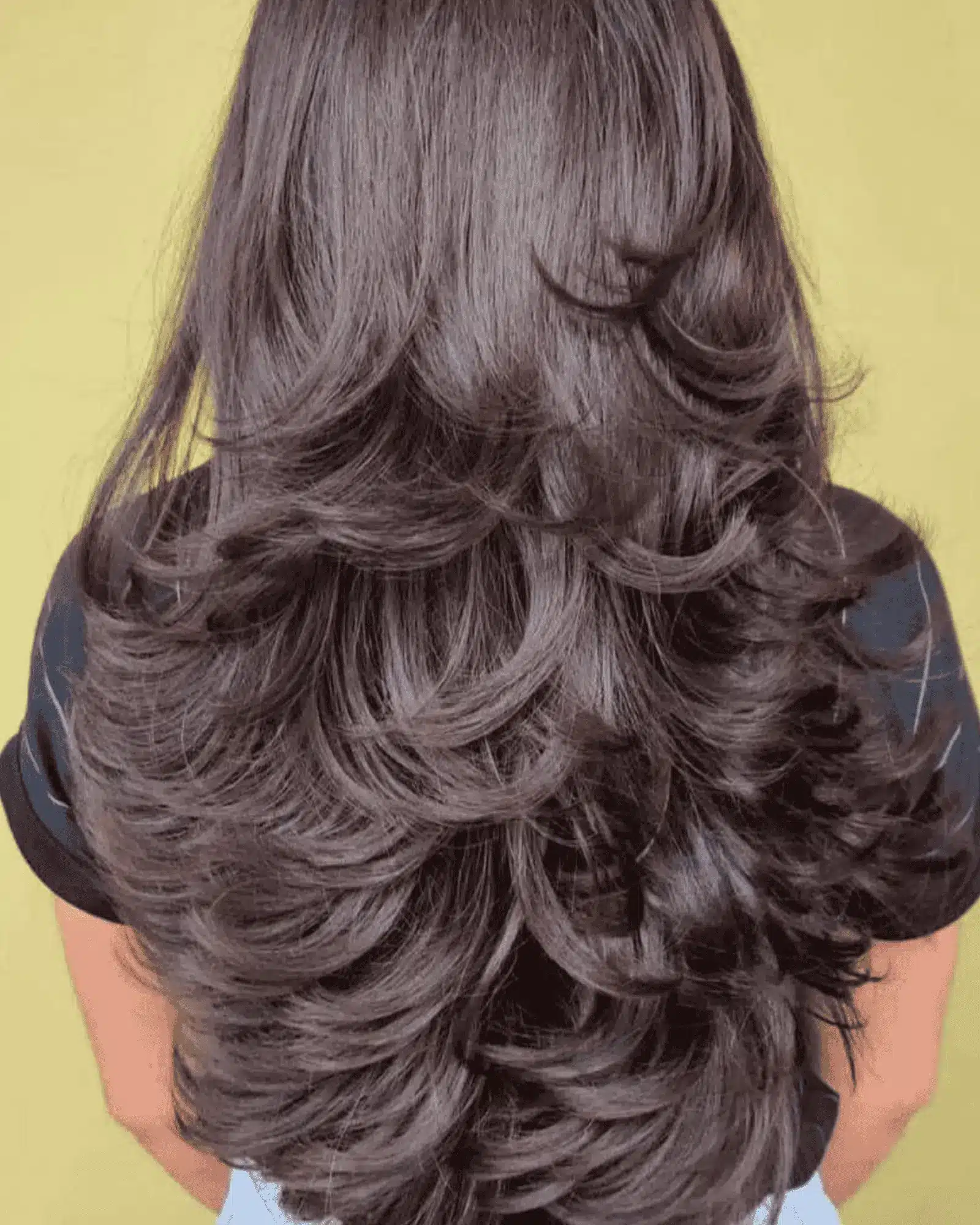 long feathered layers