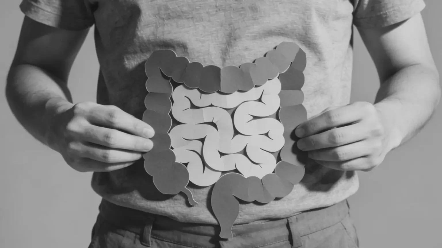 Person holding a paper cutout diagram of the human large and small intestines over their torso in a black and white image