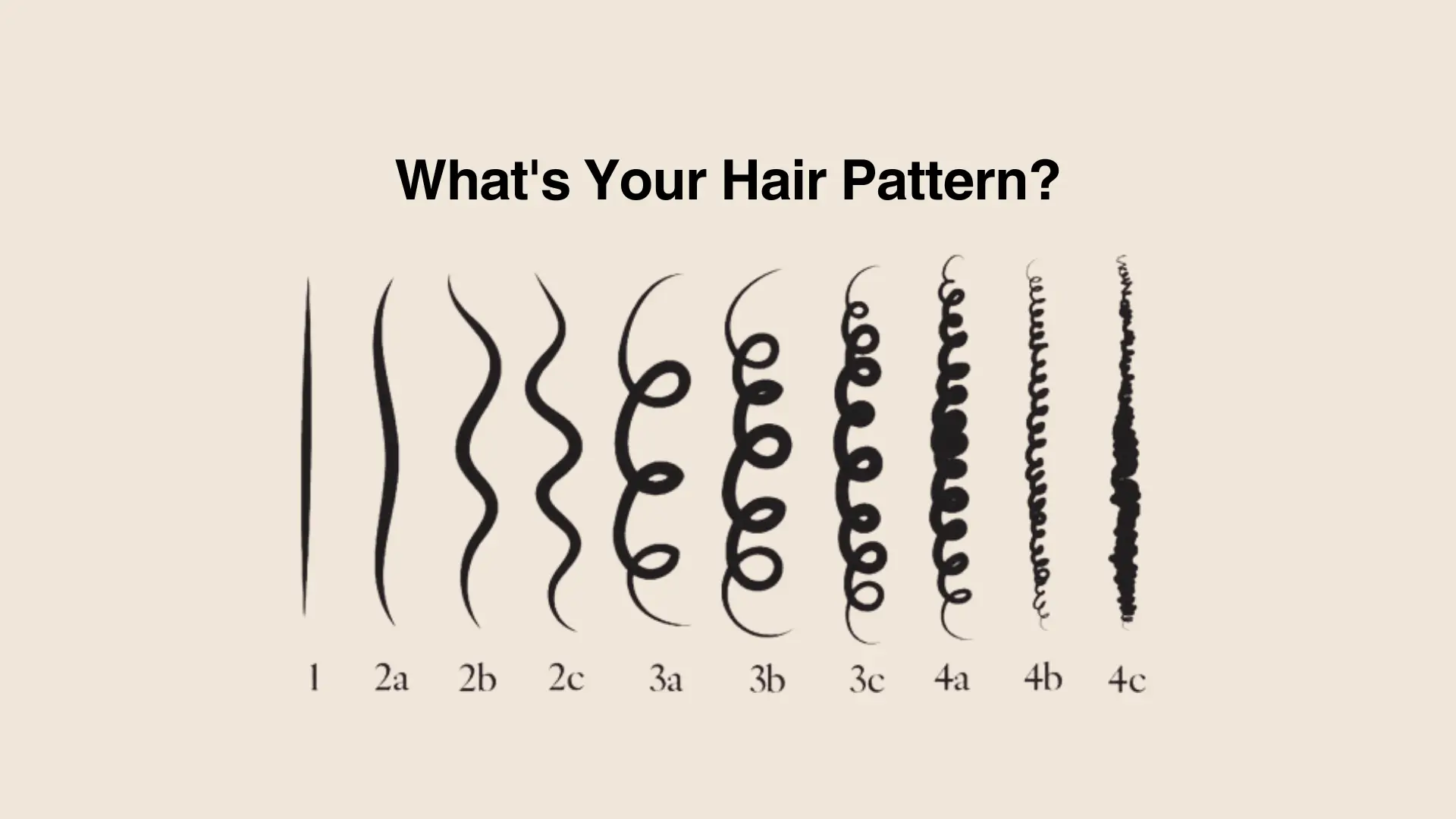 Close up of different hair textures displayed on a color palette illustrating straight wavy and curly patterns