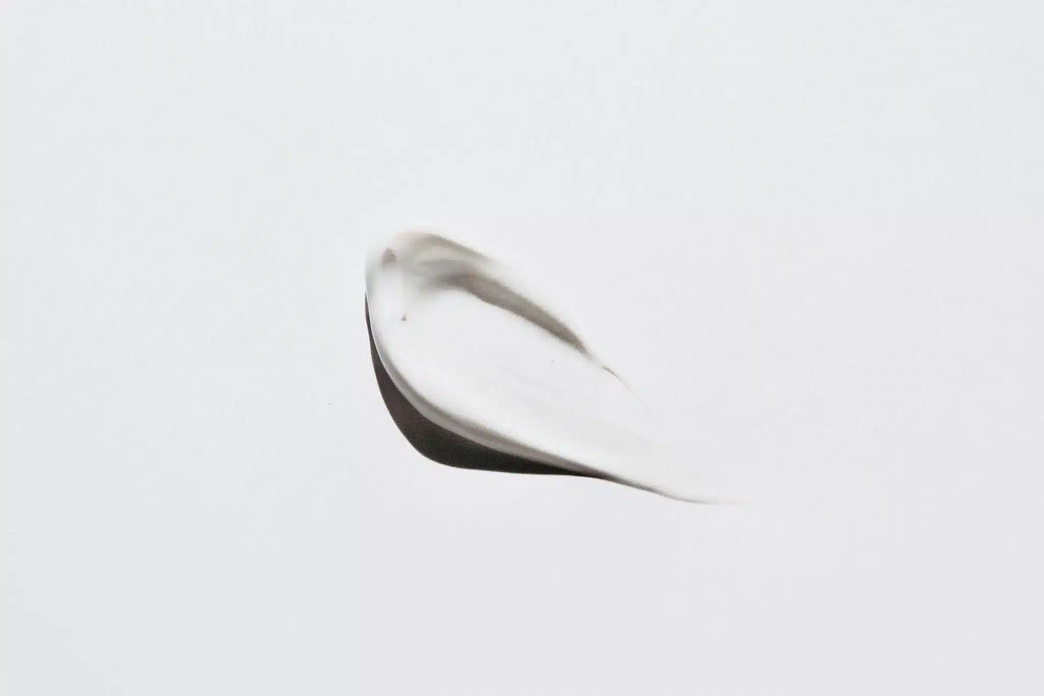 Smooth swirl of white cream on light gray background