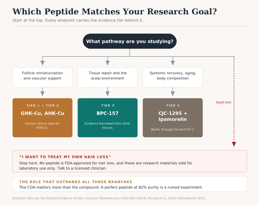 Flowchart detailing peptide research pathways, categories, and evidence tiers for scientific study