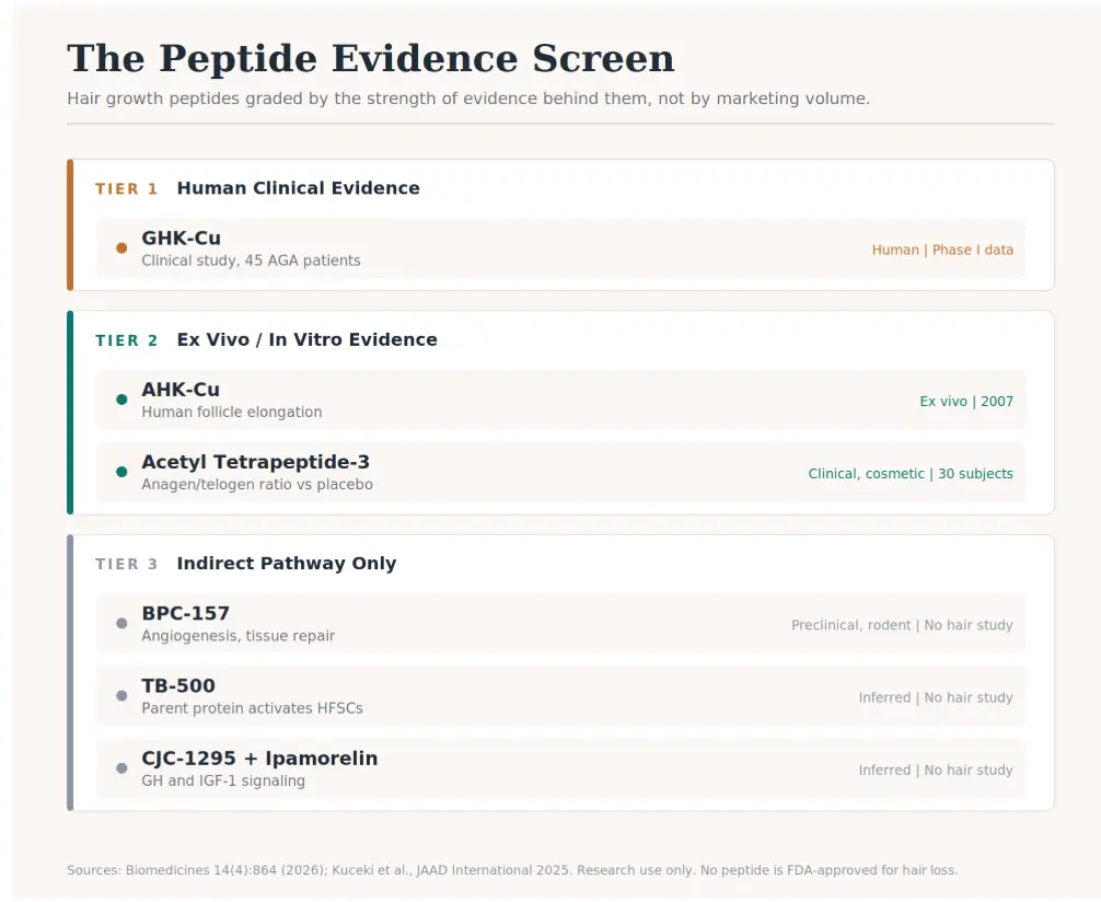 Peptide evidence chart for hair growth strength, categorized by clinical and research tiers