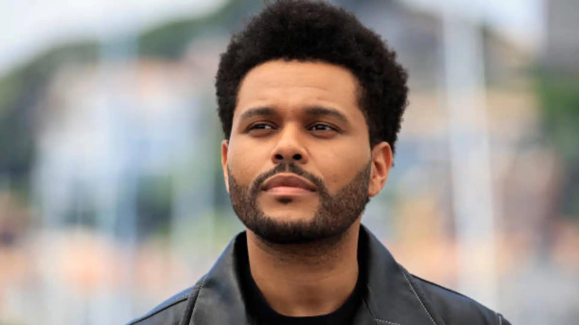 Short natural afro hairstyle with a rounded shape and tight curls paired with a sharply defined low fade and beard