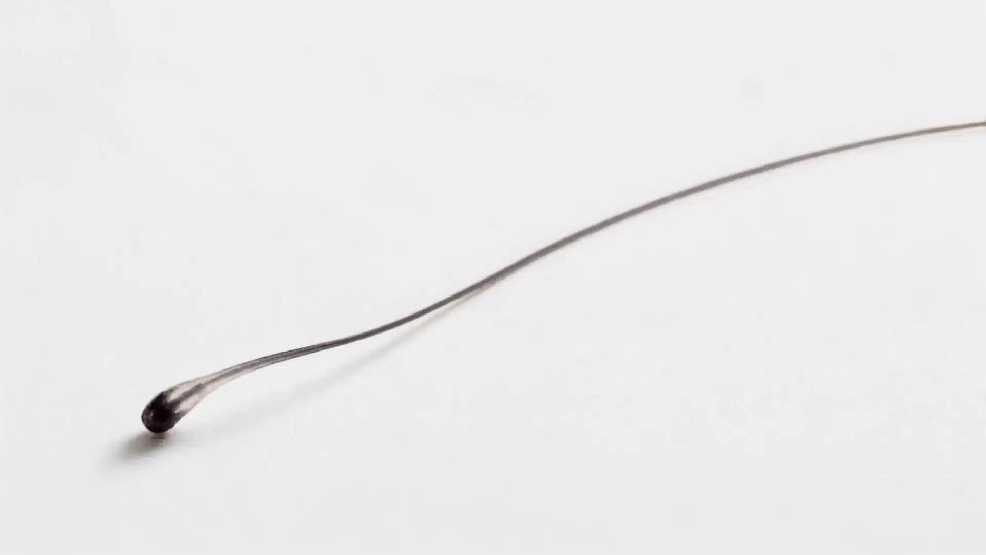 Single pulled hair strand with a visible dark root bulb resting on a clean white surface in a detailed close up view